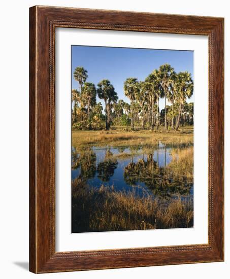 Palmyra Palmen-Thonig-Framed Photographic Print