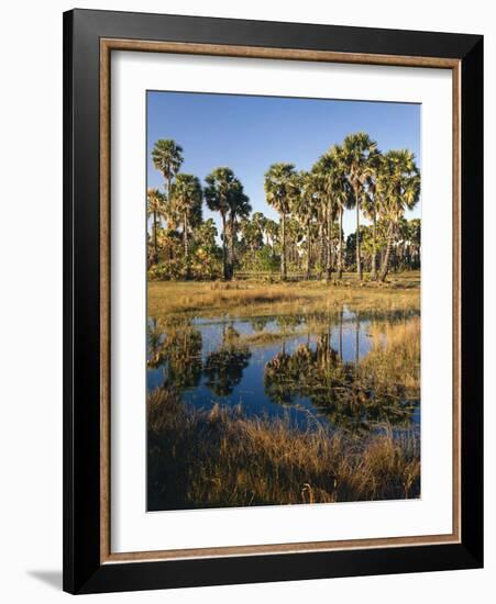 Palmyra Palmen-Thonig-Framed Photographic Print