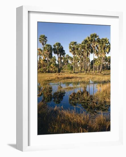 Palmyra Palmen-Thonig-Framed Photographic Print