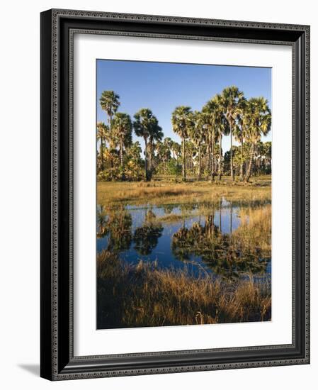 Palmyra Palmen-Thonig-Framed Photographic Print