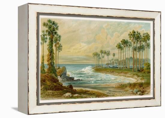 Palmyra Palms Provide Little Shade on a Sri Lanka Beach-Von Konigsbrunn-Framed Premier Image Canvas