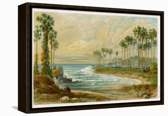 Palmyra Palms Provide Little Shade on a Sri Lanka Beach-Von Konigsbrunn-Framed Premier Image Canvas