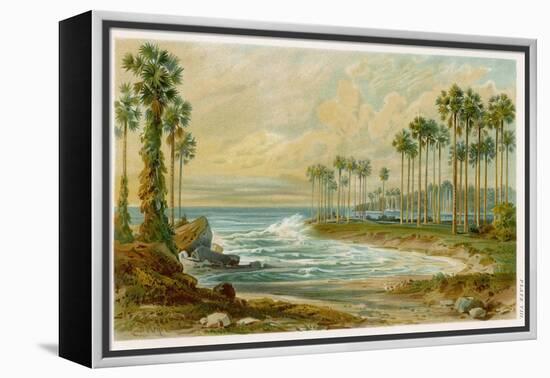 Palmyra Palms Provide Little Shade on a Sri Lanka Beach-Von Konigsbrunn-Framed Premier Image Canvas