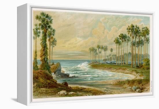 Palmyra Palms Provide Little Shade on a Sri Lanka Beach-Von Konigsbrunn-Framed Premier Image Canvas