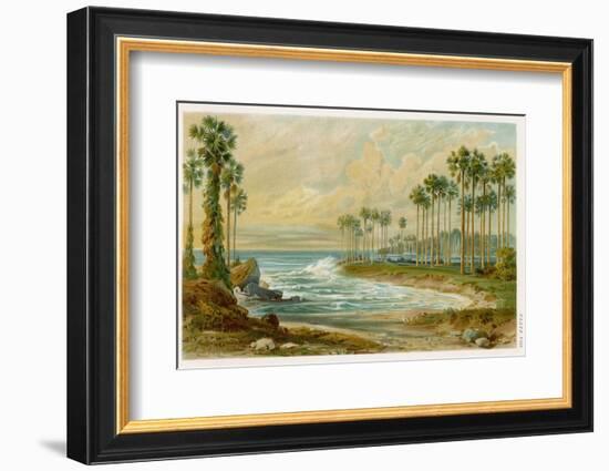 Palmyra Palms Provide Little Shade on a Sri Lanka Beach-Von Konigsbrunn-Framed Photographic Print