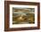 Palo Alto Baylands Nature Preserve, California, USA. Long-billed curlew walking in a tidal mudflat.-Janet Horton-Framed Photographic Print