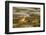 Palo Alto Baylands Nature Preserve, California, USA. Long-billed curlew walking in a tidal mudflat.-Janet Horton-Framed Photographic Print