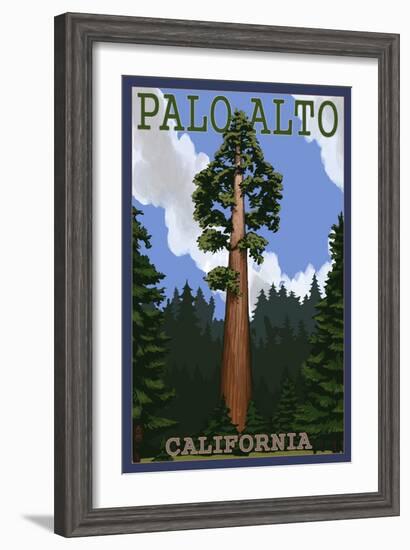 Palo Alto, California - California Redwoods-Lantern Press-Framed Art Print