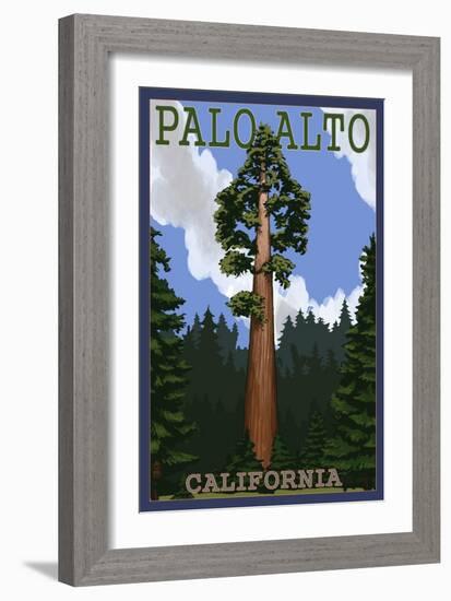 Palo Alto, California - California Redwoods-Lantern Press-Framed Art Print