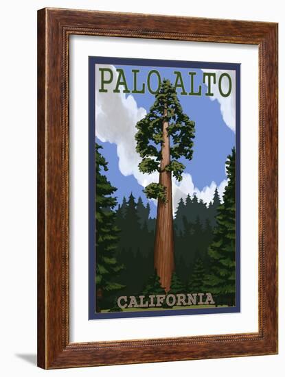 Palo Alto, California - California Redwoods-Lantern Press-Framed Art Print