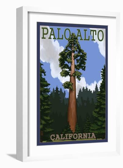 Palo Alto, California - California Redwoods-Lantern Press-Framed Art Print