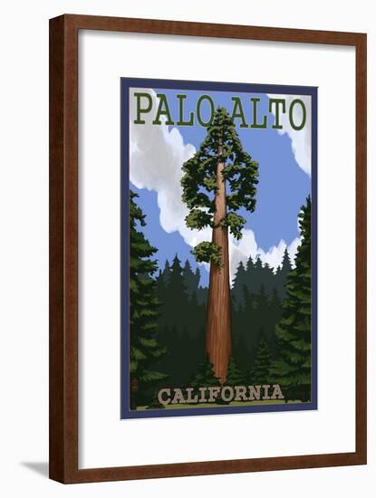 Palo Alto, California - California Redwoods-Lantern Press-Framed Art Print