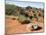 Palo Duro State Park, Near Amarillo, Texas, USA-Ethel Davies-Mounted Photographic Print