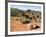 Palo Duro State Park, Near Amarillo, Texas, USA-Ethel Davies-Framed Photographic Print