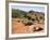 Palo Duro State Park, Near Amarillo, Texas, USA-Ethel Davies-Framed Photographic Print