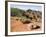 Palo Duro State Park, Near Amarillo, Texas, USA-Ethel Davies-Framed Photographic Print