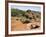 Palo Duro State Park, Near Amarillo, Texas, USA-Ethel Davies-Framed Photographic Print