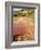 Palo Duro State Park, Near Amarillo, Texas, USA-Ethel Davies-Framed Photographic Print