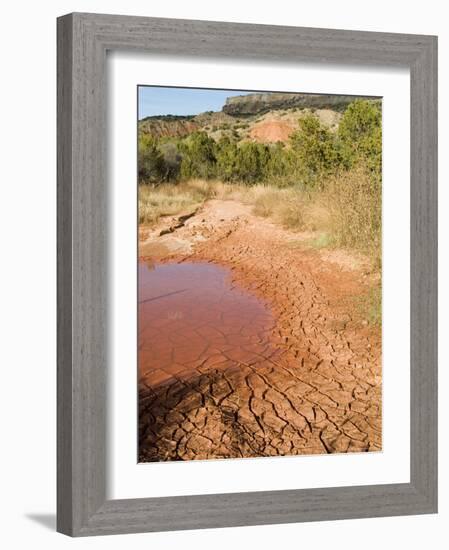 Palo Duro State Park, Near Amarillo, Texas, USA-Ethel Davies-Framed Photographic Print