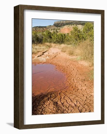 Palo Duro State Park, Near Amarillo, Texas, USA-Ethel Davies-Framed Photographic Print