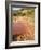 Palo Duro State Park, Near Amarillo, Texas, USA-Ethel Davies-Framed Photographic Print