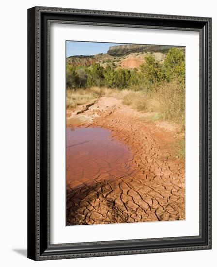 Palo Duro State Park, Near Amarillo, Texas, USA-Ethel Davies-Framed Photographic Print