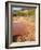 Palo Duro State Park, Near Amarillo, Texas, USA-Ethel Davies-Framed Photographic Print