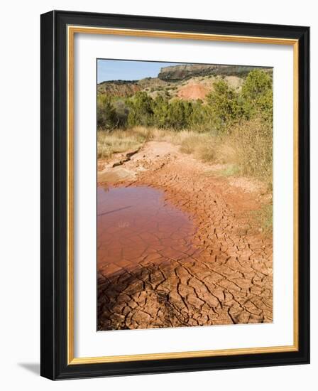 Palo Duro State Park, Near Amarillo, Texas, USA-Ethel Davies-Framed Photographic Print