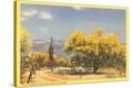 Stretched Canvas Print