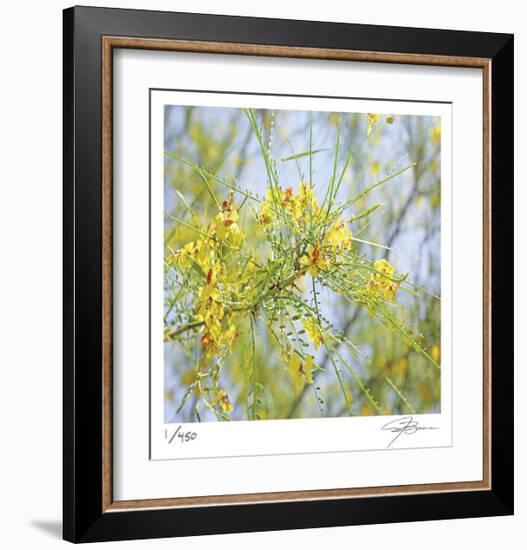 Palo Verde-Ken Bremer-Framed Limited Edition