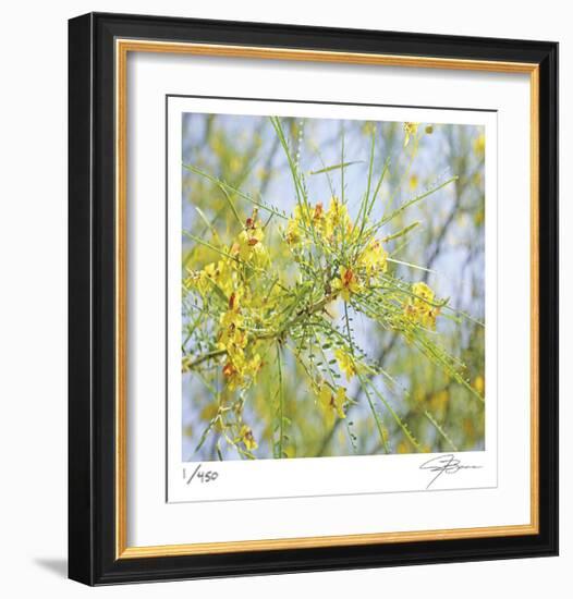 Palo Verde-Ken Bremer-Framed Limited Edition