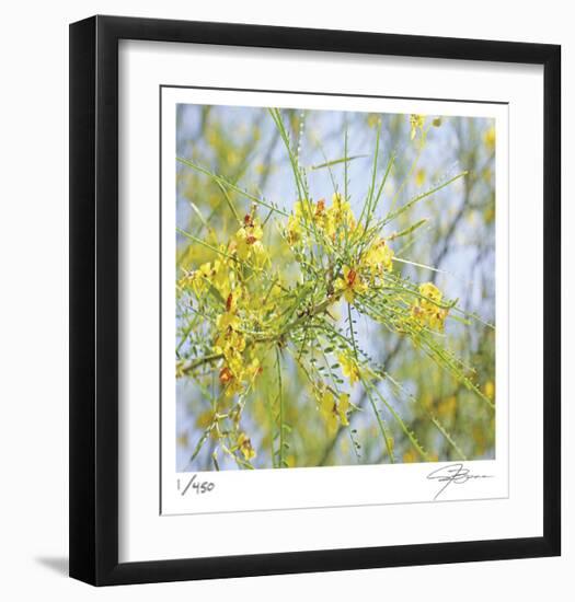 Palo Verde-Ken Bremer-Framed Limited Edition