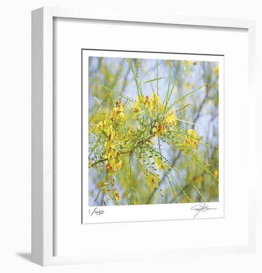 Palo Verde-Ken Bremer-Framed Limited Edition