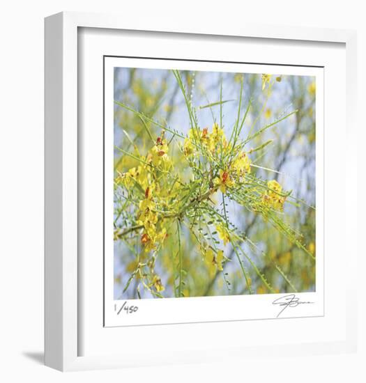 Palo Verde-Ken Bremer-Framed Limited Edition