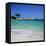 Palombaggia Beach, Near Porto Vecchio, South East Corsica, Corsica, France, Mediterranean, Europe-Stuart Black-Framed Premier Image Canvas