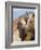 Palomino Peruvian paso mare and foal, New Mexico, USA-Carol Walker-Framed Photographic Print