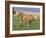 Palomino Stallion Running in Field, Longmont, Colorado, USA-Carol Walker-Framed Photographic Print