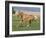 Palomino Stallion Running in Field, Longmont, Colorado, USA-Carol Walker-Framed Photographic Print