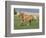 Palomino Stallion Running in Field, Longmont, Colorado, USA-Carol Walker-Framed Photographic Print