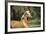 Palomino Warmbloods 012-Bob Langrish-Framed Photographic Print