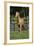 Palomino Warmbloods 013-Bob Langrish-Framed Photographic Print