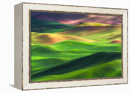 Palouse 1-Ursula Abresch-Framed Premier Image Canvas