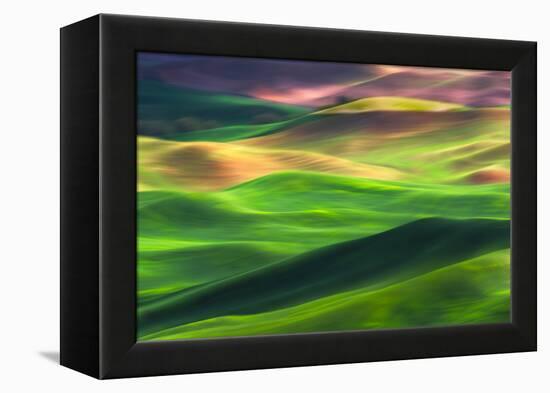 Palouse 1-Ursula Abresch-Framed Premier Image Canvas