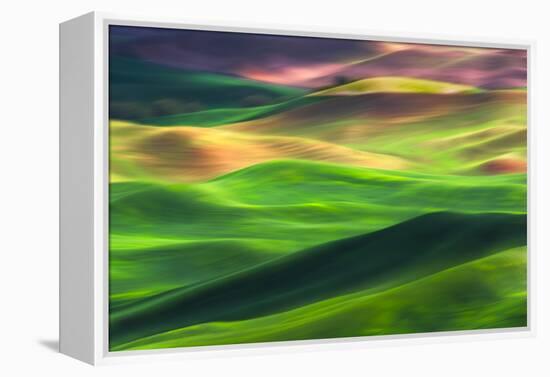 Palouse 1-Ursula Abresch-Framed Premier Image Canvas