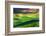 Palouse 1-Ursula Abresch-Framed Photographic Print