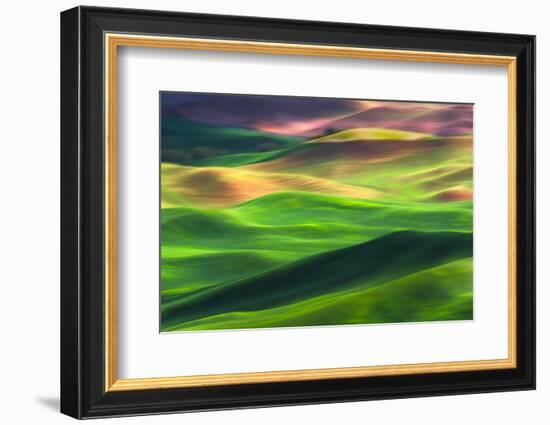 Palouse 1-Ursula Abresch-Framed Photographic Print