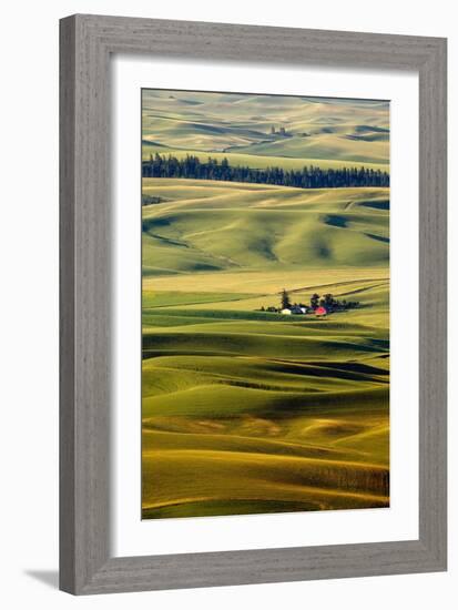 Palouse #27-Dale O’Dell-Framed Photographic Print