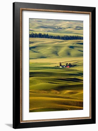 Palouse #27-Dale O’Dell-Framed Photographic Print