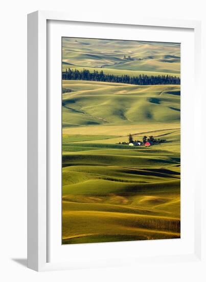 Palouse #27-Dale O’Dell-Framed Photographic Print
