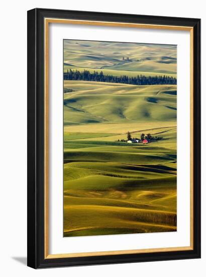 Palouse #27-Dale O’Dell-Framed Photographic Print